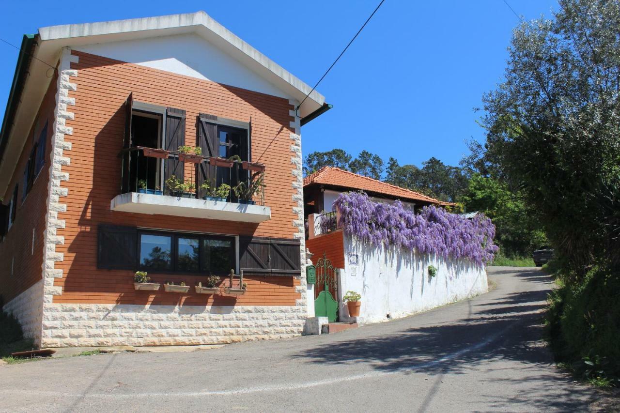 Casa Da Avo - Vale Da Silva Villas Albergaria-a-Velha Exterior photo